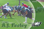 A.J. Feeley