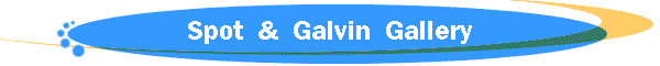 Spot & Galvin Gallery