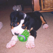 Toby from 2001
